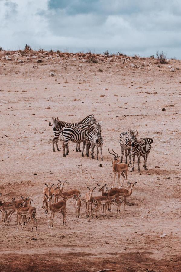 Watamu Solana Apartments エクステリア 写真